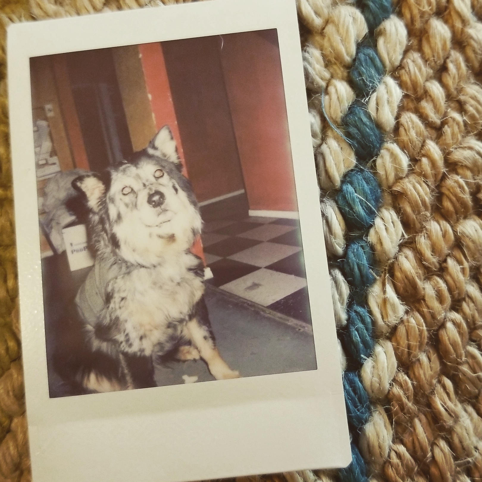 From Alchemy’s photo album, photograph 9