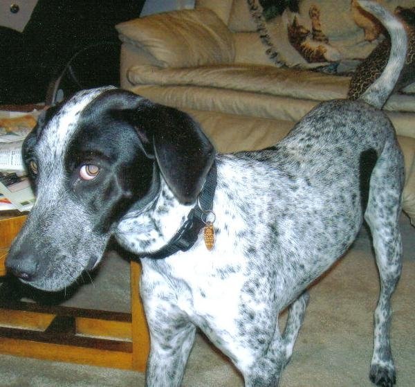 From Rogue’s photo album, photograph 7